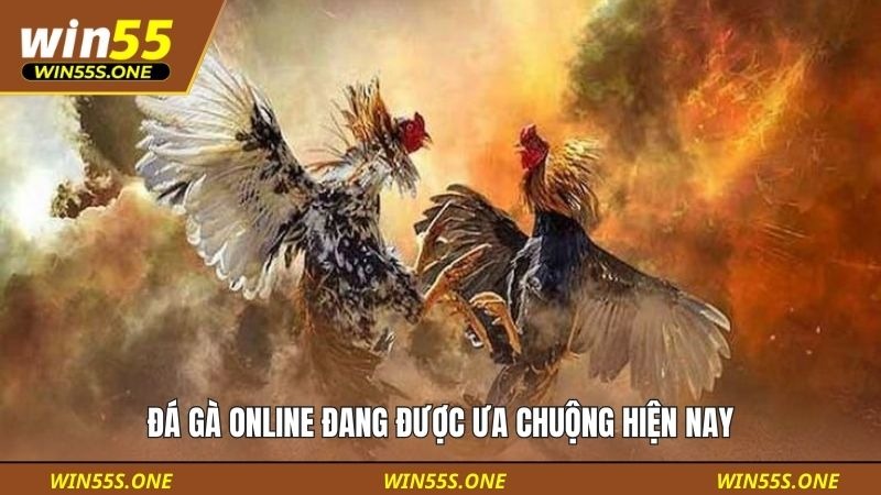 Đá gà online đang được ưa chuộng hiện nay