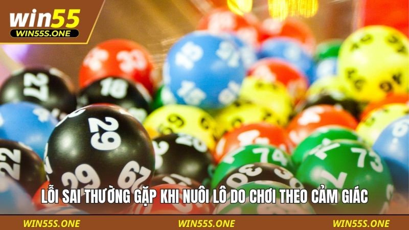Lỗi sai thường gặp khi nuôi lô do chơi theo cảm giác