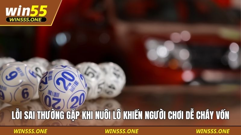 lỗi sai thường gặp khi nuôi lô